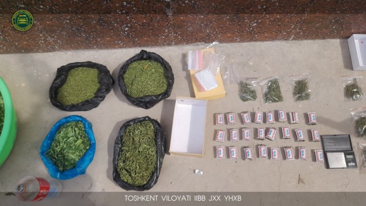 33-летний житель Пскента хранил дома марихуану в особо крупном размере