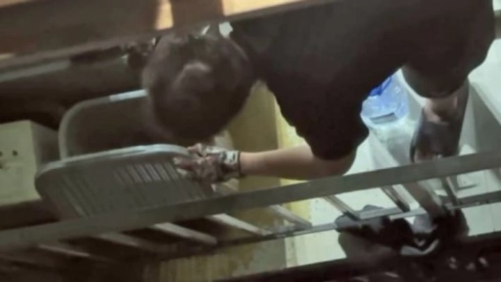 Иностранец арестован в Ташкенте за жестокое обращение с кошкой