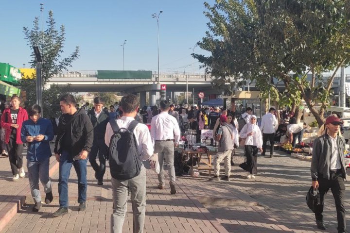 Узбекским студентам рассказали, как жить почти бесплатно