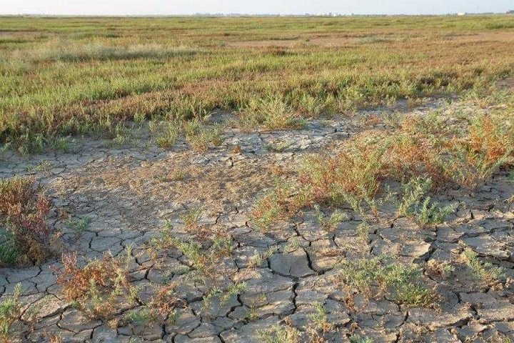 O‘zbekiston mintaqaviy ekologik halokatga qarshi kurash e’lon qildi