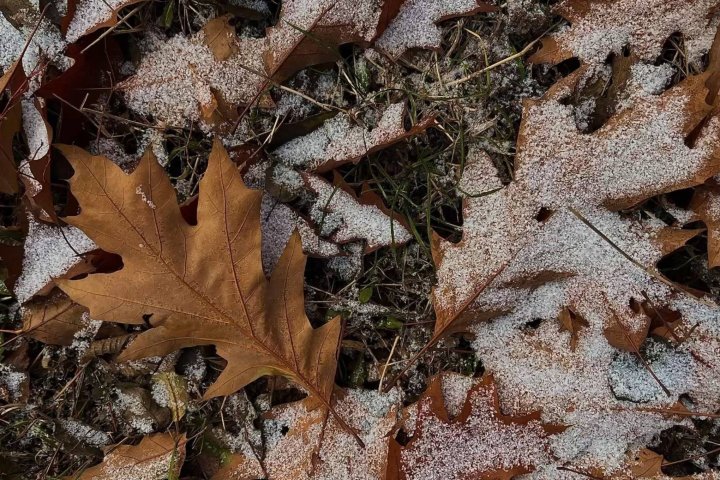 Узбекистанцев предупредили о резком похолодании