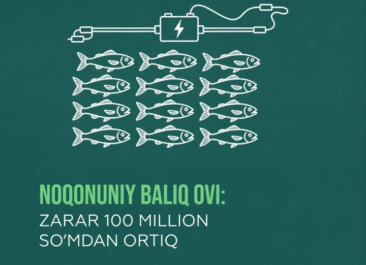 Buxoroda brakonerlar Qizil kitobga kiritilgan baliqni tutishdi