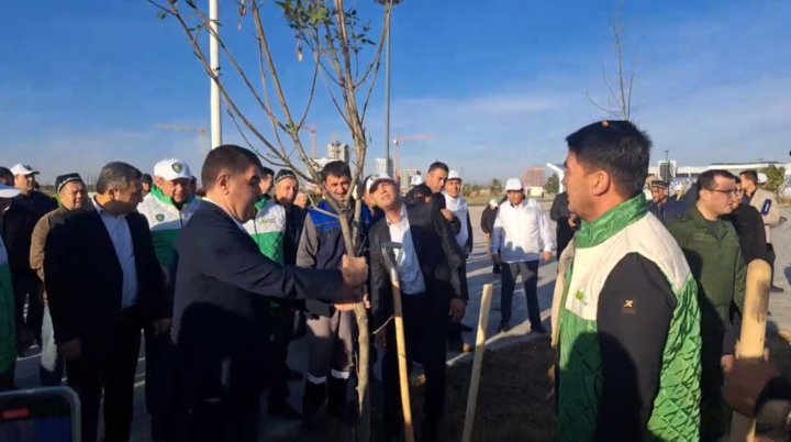 В Намангане высадили десятки тысяч деревьев в честь ЮНЕСКО