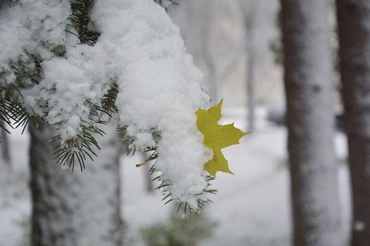 Зима близко: Синоптики опубликовали срочное сообщение для узбекистанцев