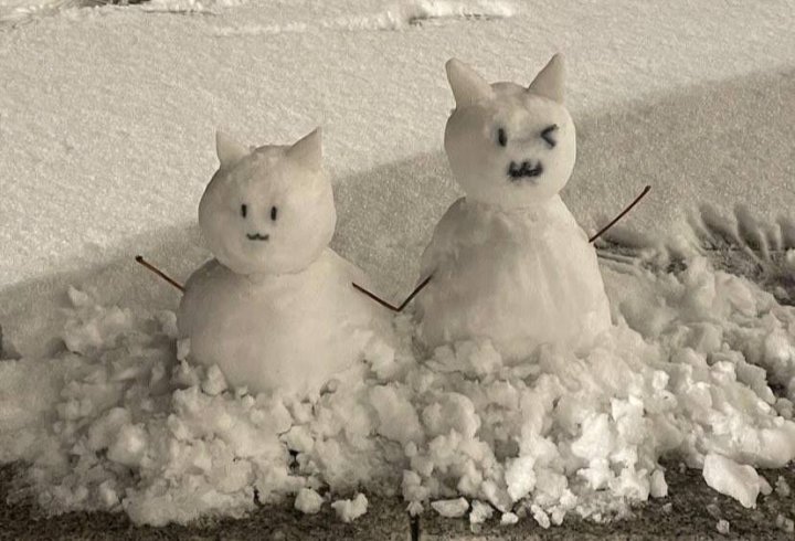 O‘zbekistonning tog‘li hududlarida birinchi qor yog‘ishi kutilmoqda