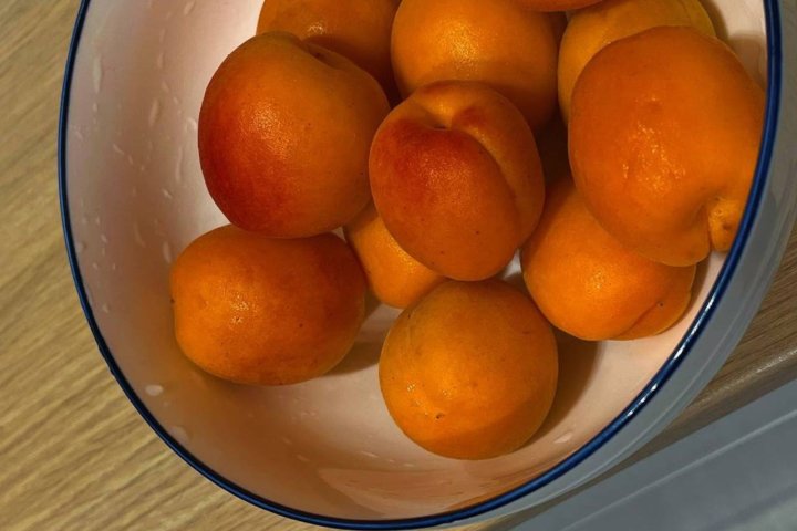 Узбекистан собрал более полумиллиона тонн абрикосов