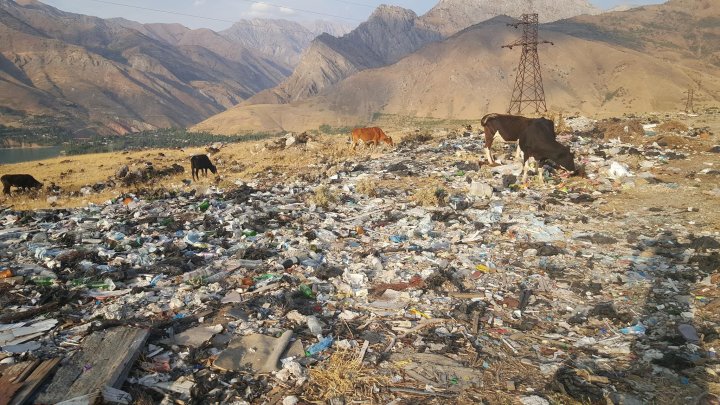 В Узбекистане оценили ущерб, нанесенный экологии