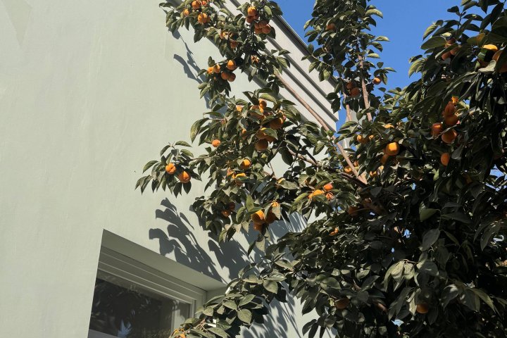 +32°C: Опубликован прогноз погоды в Узбекистане на 13-16 октября