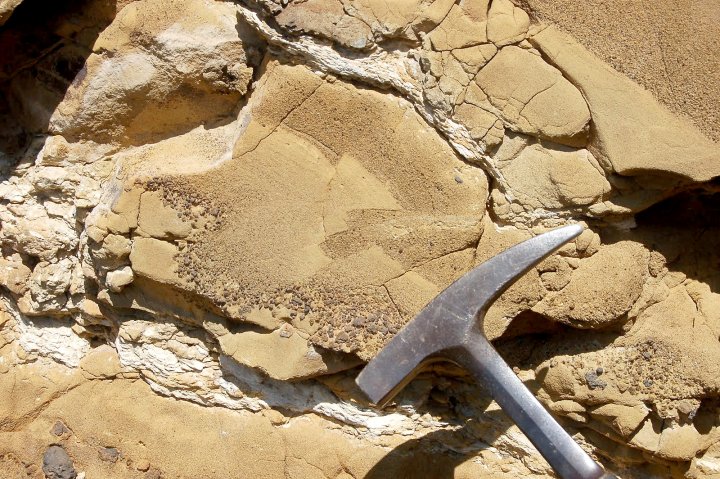 O‘zbekistonda Kolorado Konchilik Maktabi bilan hamkorlikda Geologik Kompetensiyalar Markazi tashkil etiladi