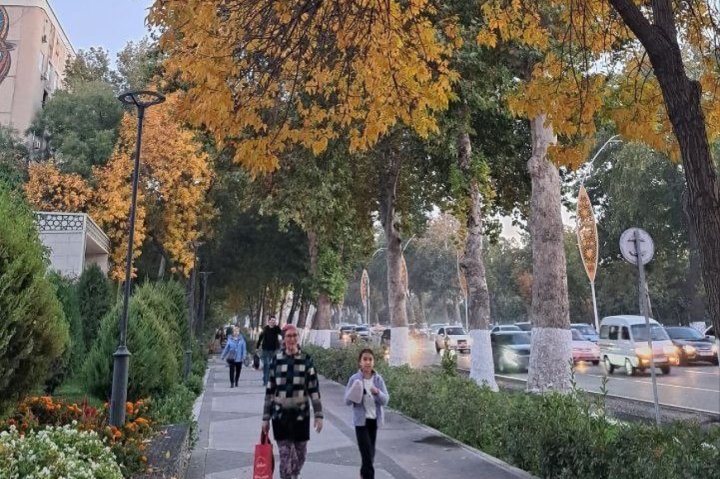 Тепло, но с сильным ветром: Опубликован прогноз погоды в Узбекистане на 10 октября