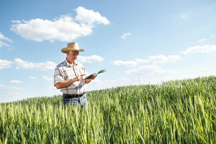 O‘zbekiston biznes-ombudsmeni Rishton tumanidagi fermerlarni himoya qilmoqda