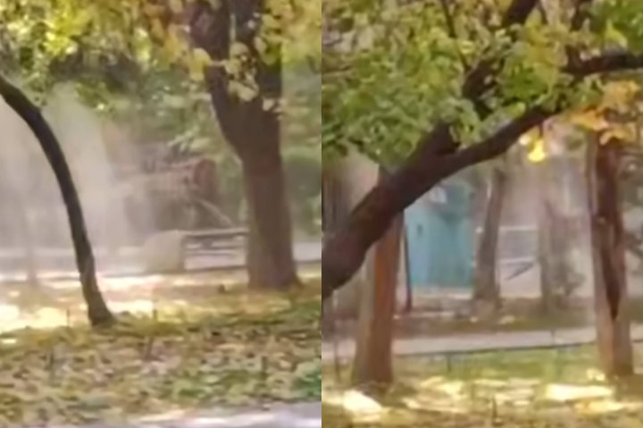 «Современная уборка» по-ташкентски: Скандальный метод уборки в парке «Голубые купола» возмутил граждан