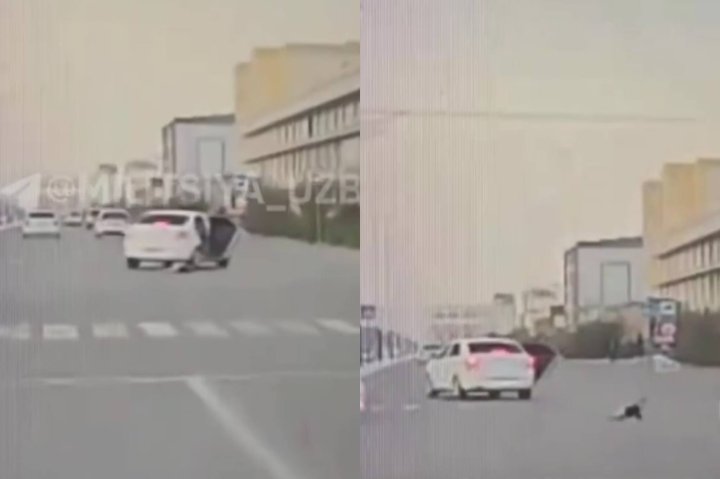 В Сырдарье ребёнок выпал из движущейся машины прямо на перекрёстке