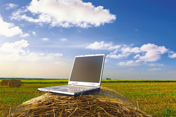 O‘zbekiston qishloqlarida internet qamrovi shahar bilan deyarli tenglashdi