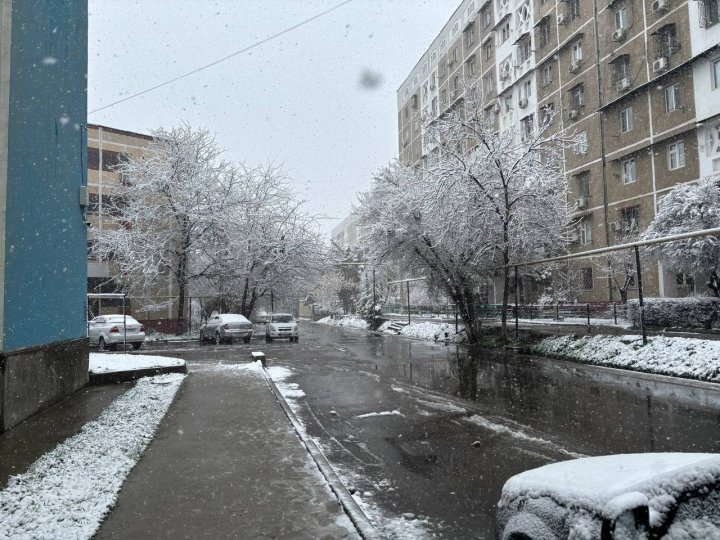 Rossiyalik sinoptik O‘zbekistonda qachon qor yog‘ishi mumkinligini aytdi