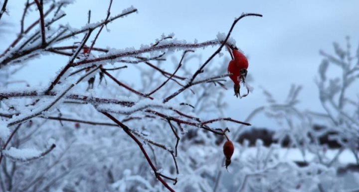 O‘zbekiston energetika tizimi qishga rekord darajadagi tayyorgarlik ko‘rsatkichlari bilan kirmoqda
