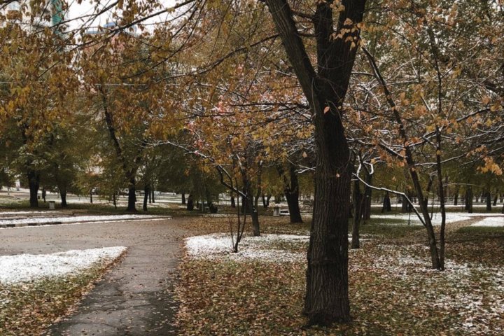 Тепло, но не везде: Узбекистан ждёт «осенний снег»