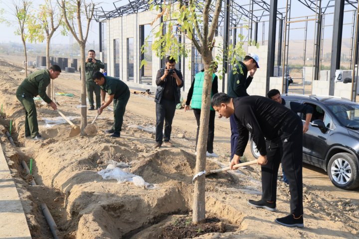 В Фергане посадили тысячи деревьев