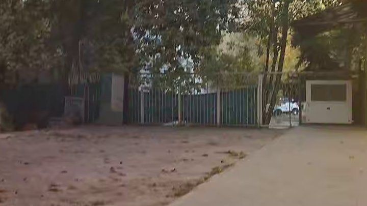 В Ташкенте загорелась школа