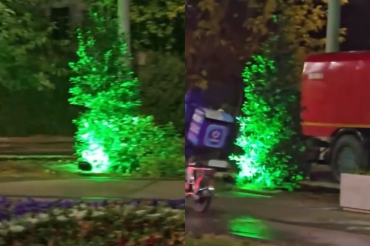 В Ташкенте новые деревья оснастили зелёной подсветкой