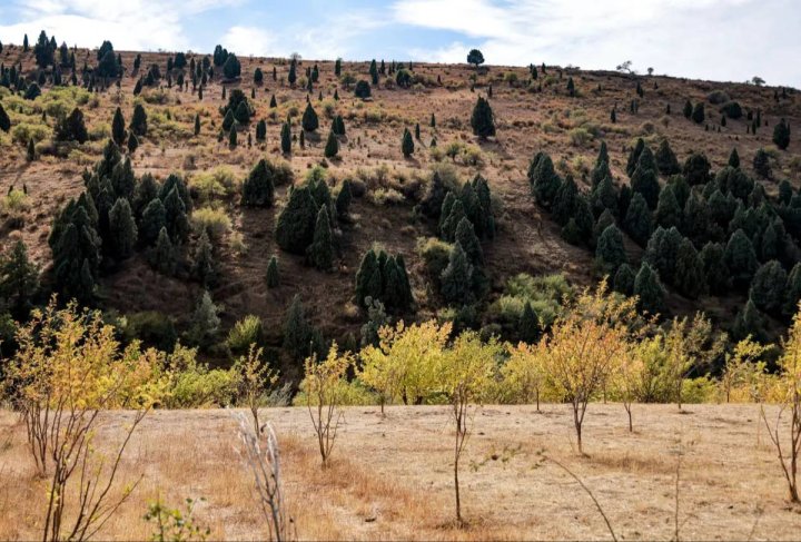 Millionlab dollar: Baxmal tumani sayyohlardan ajoyib pul ishlab topdi