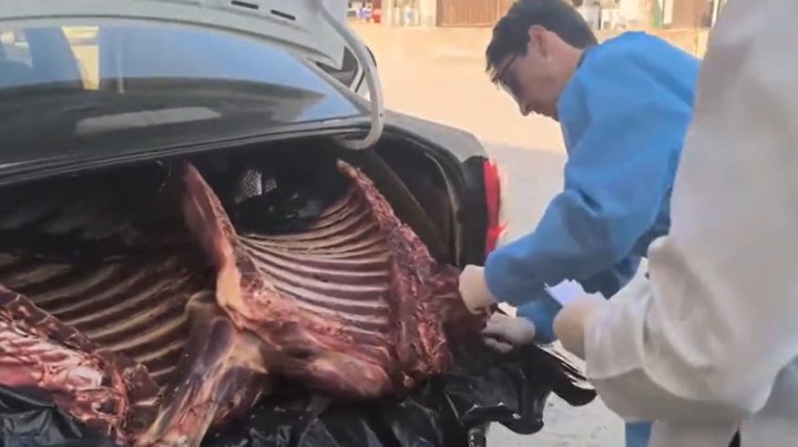 Из Кашкадарьи в Ташкент перевозили протухшее мясо