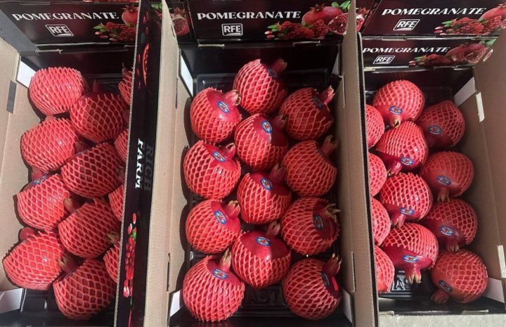 Farg‘onadan Janubiy Koreyaga anor eksport qilinadi