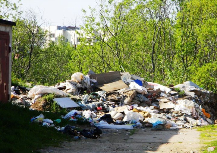 Какие экологические преступления стали самыми частыми в Узбекистане?