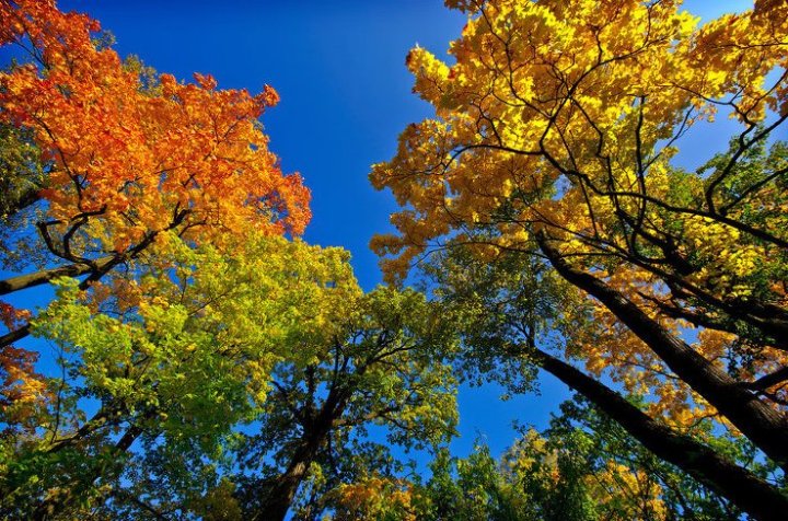 В Узбекистане рассказали о прогнозе погоды на 9 ноября