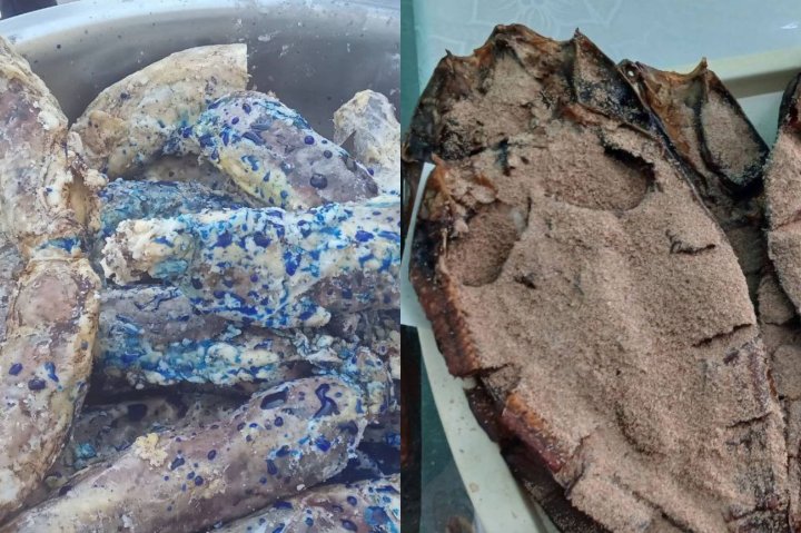 124 килограмма отравы: В Ташкенте на рынке «Куйлюк» уничтожили опасные продукты