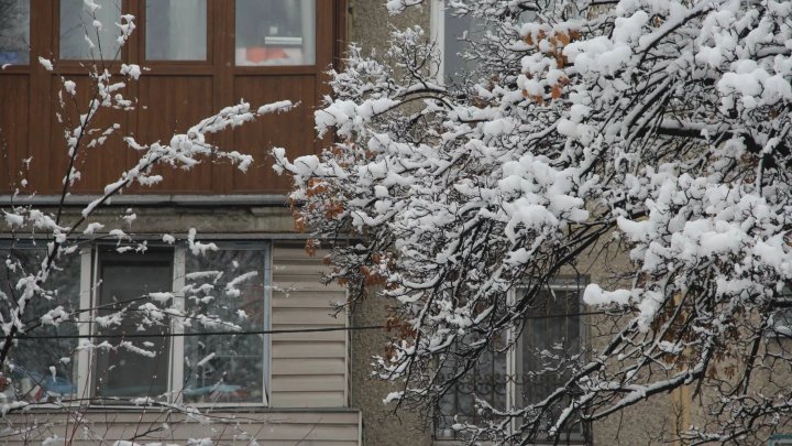 Стало известно, когда в Ташкенте ожидается снег