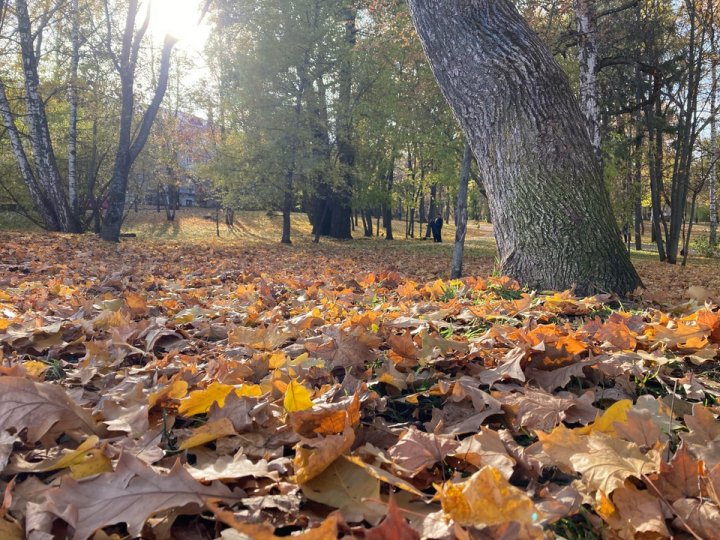 Прошедший октябрь был одним из самых сухих в истории Узбекистана