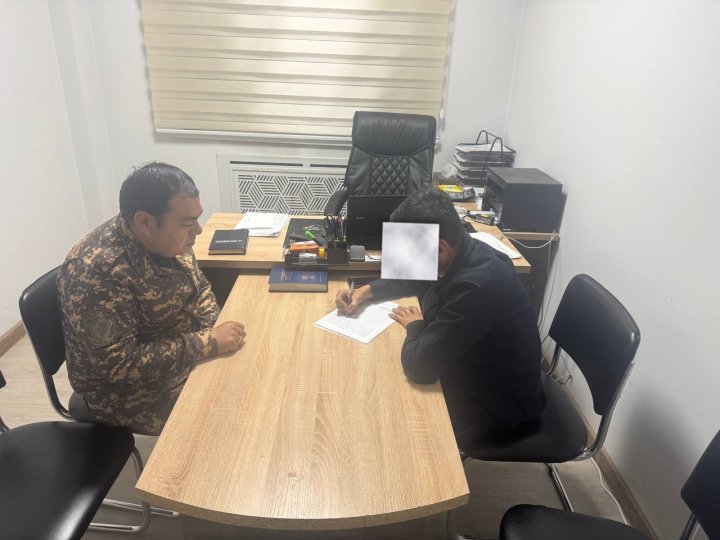 Житель Ташкента заплатит более 12 млн сумов за повреждение дерева