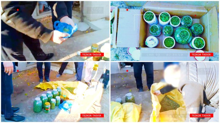 Житель Ташкентской области прятал наркотики среди индюшек