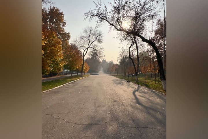 Узбекистан ждёт аномально тёплое «бархатное» воскресенье