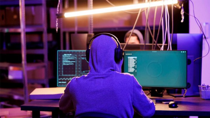 Хакерская группа «Кровавый волк» нацелилась на Узбекистан