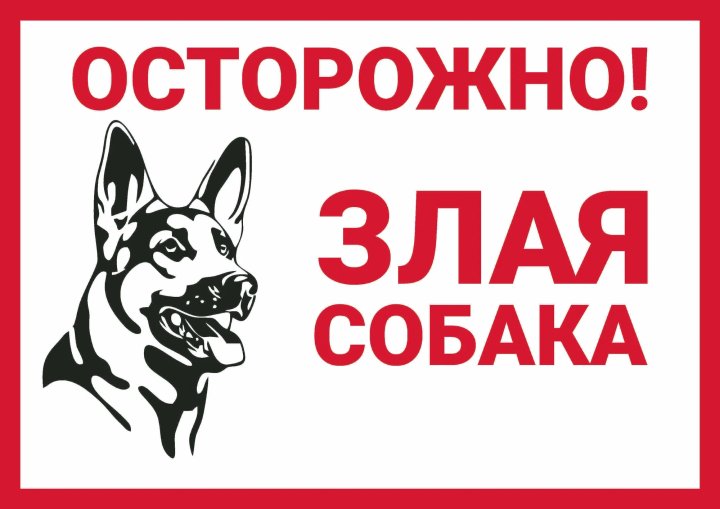 Узбекистанец натравил собаку на человека и получил 4 года тюрьмы