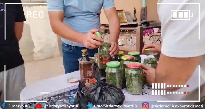 Житель Гулистана хранил в своём доме 2,5кг марихуаны