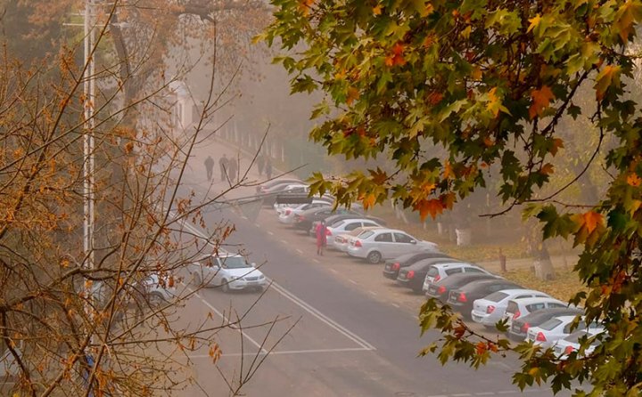 Почему в Узбекистане несмотря на экологию, продолжительность жизни растет?