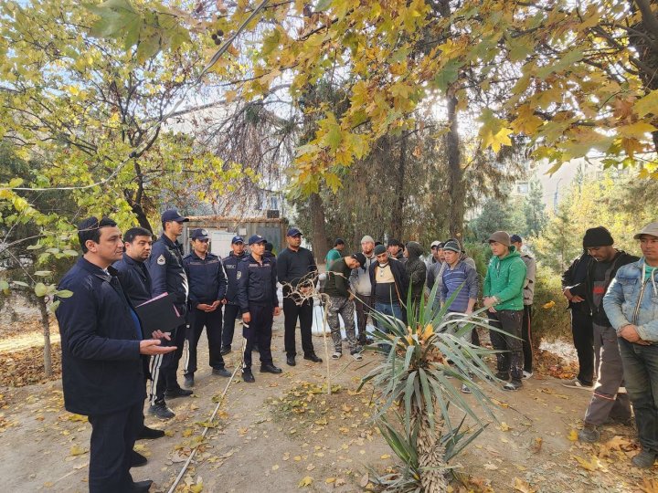 В Ташкенте при строительных работах возле здания семейной поликлиники могли пострадать деревья