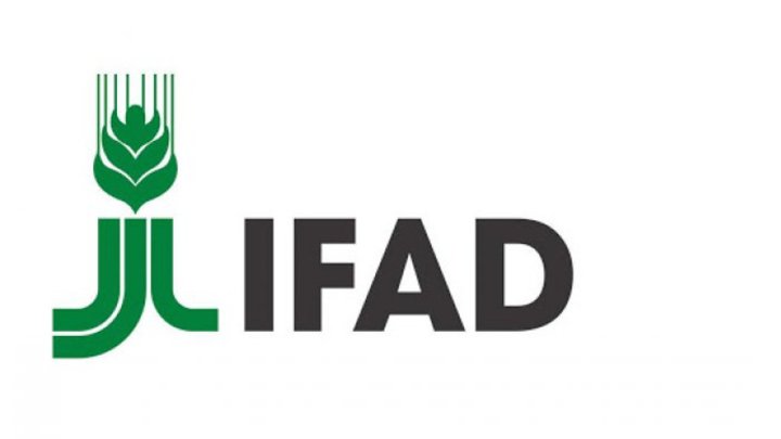 В Ташкенте IFAD представил проект REMIT PRIME на 6 млн евро