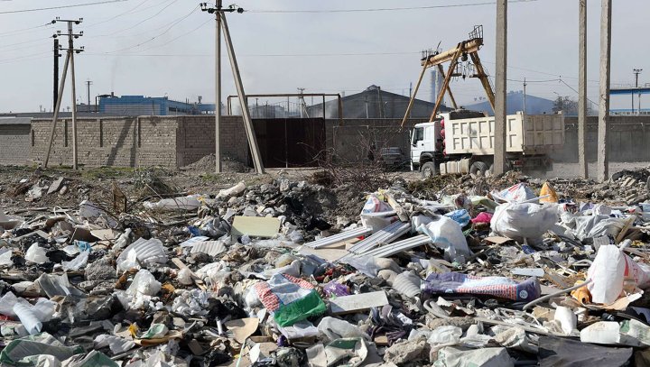 Центральная Азия создает единый фронт против эко-преступлений