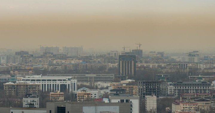 Удается ли Узбекистану победить загрязнение воздуха или деньги растворились в воздухе?