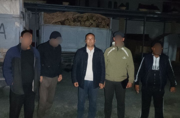 Житель Каракалпакстана заплатит 14 млн сумов за незаконную вырубку деревьев