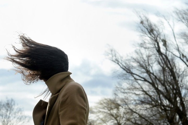 В Ташкенте планируют искусственно усилить ветер