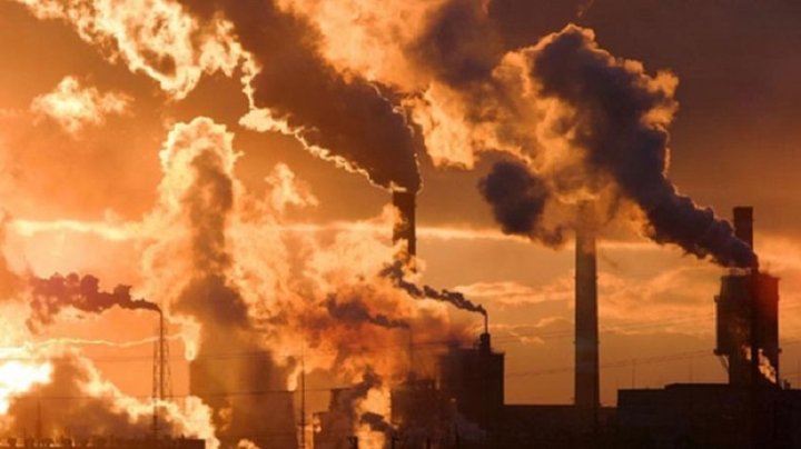 Еще долго ждать: Ташкентцам рассказали, когда они смогут задышать чистым воздухом