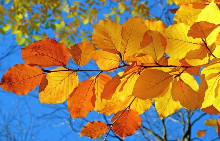 Узбекистанцам рассказали, когда вновь потеплеет