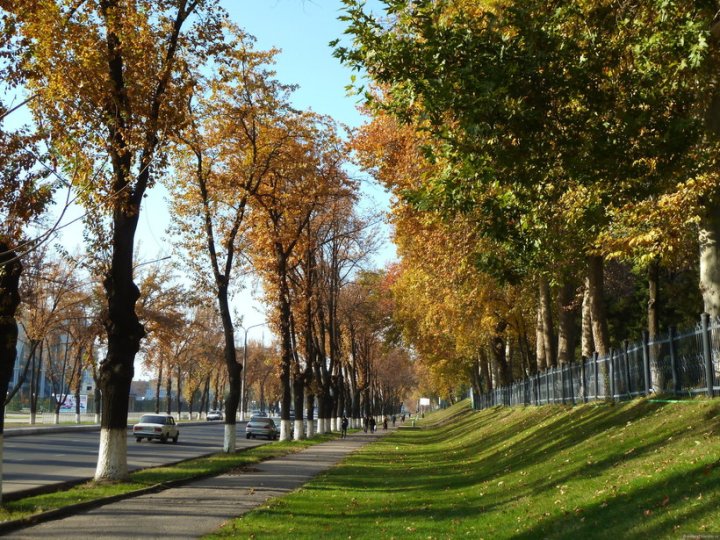 Где в Узбекистане 7 ноября воздух прогреется до +17°С