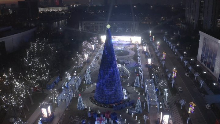 Ташкентская ёлка заняла второе место в мире по высоте