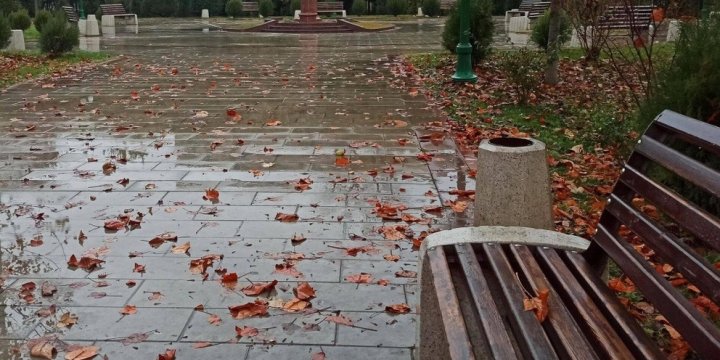 Синоптики рассказали, когда в Ташкенте ожидается дождь